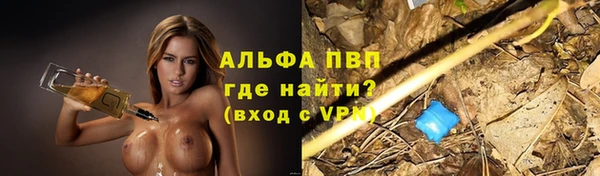 дмт Богданович
