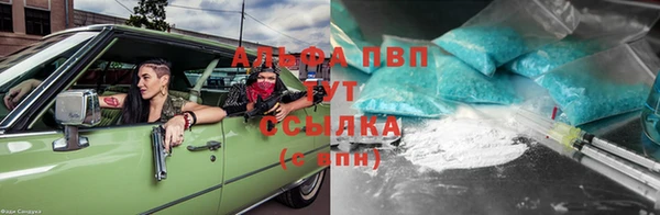 дмт Богданович