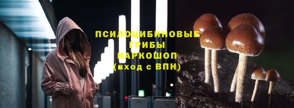 соль ск Валдай