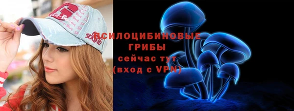 дмт Богданович