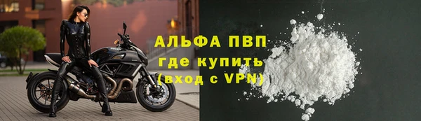 дмт Богданович