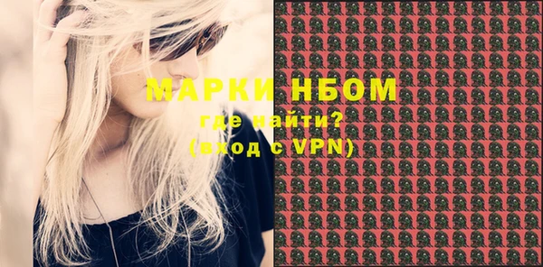 дмт Богданович