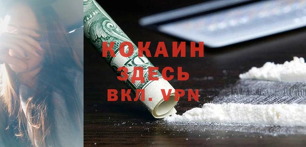 дмт Богданович