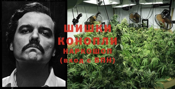 дмт Богданович